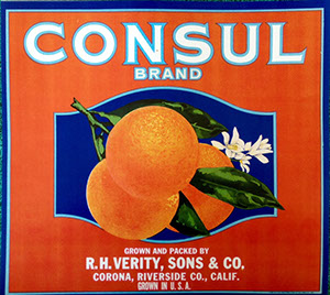 consul