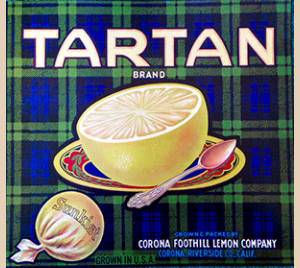 tartan grapefruit