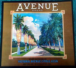 avenue - riverside